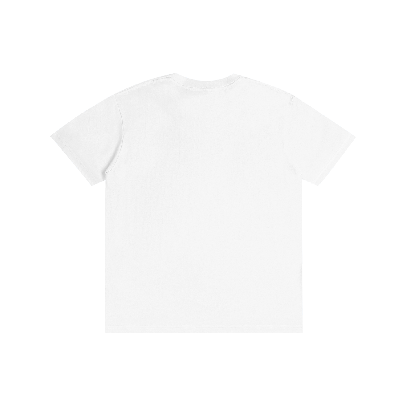 Philly RoughRiders Pure Cotton Unisex T-Shirt