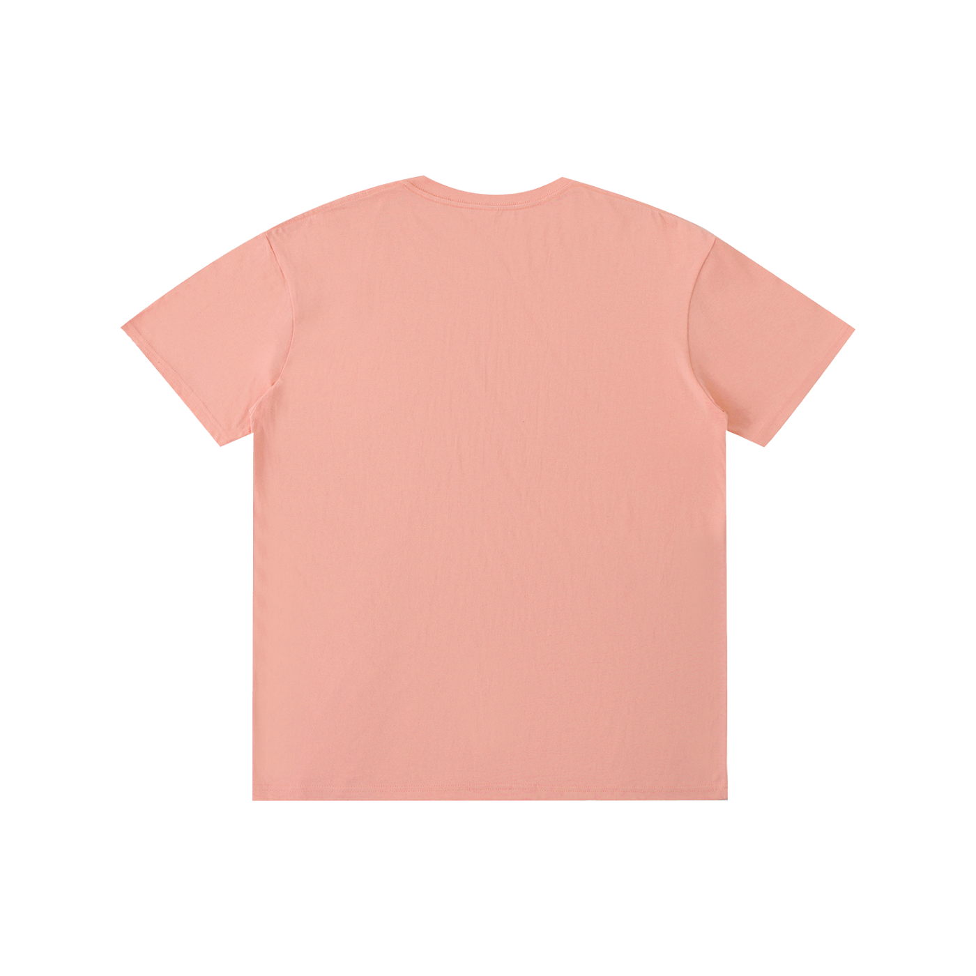 Philly RoughRiders Pure Cotton Unisex T-Shirt