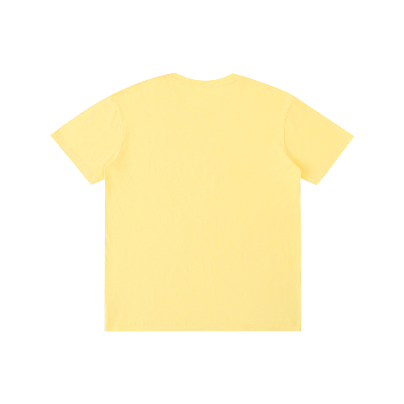 Philly RoughRiders Pure Cotton Unisex T-Shirt