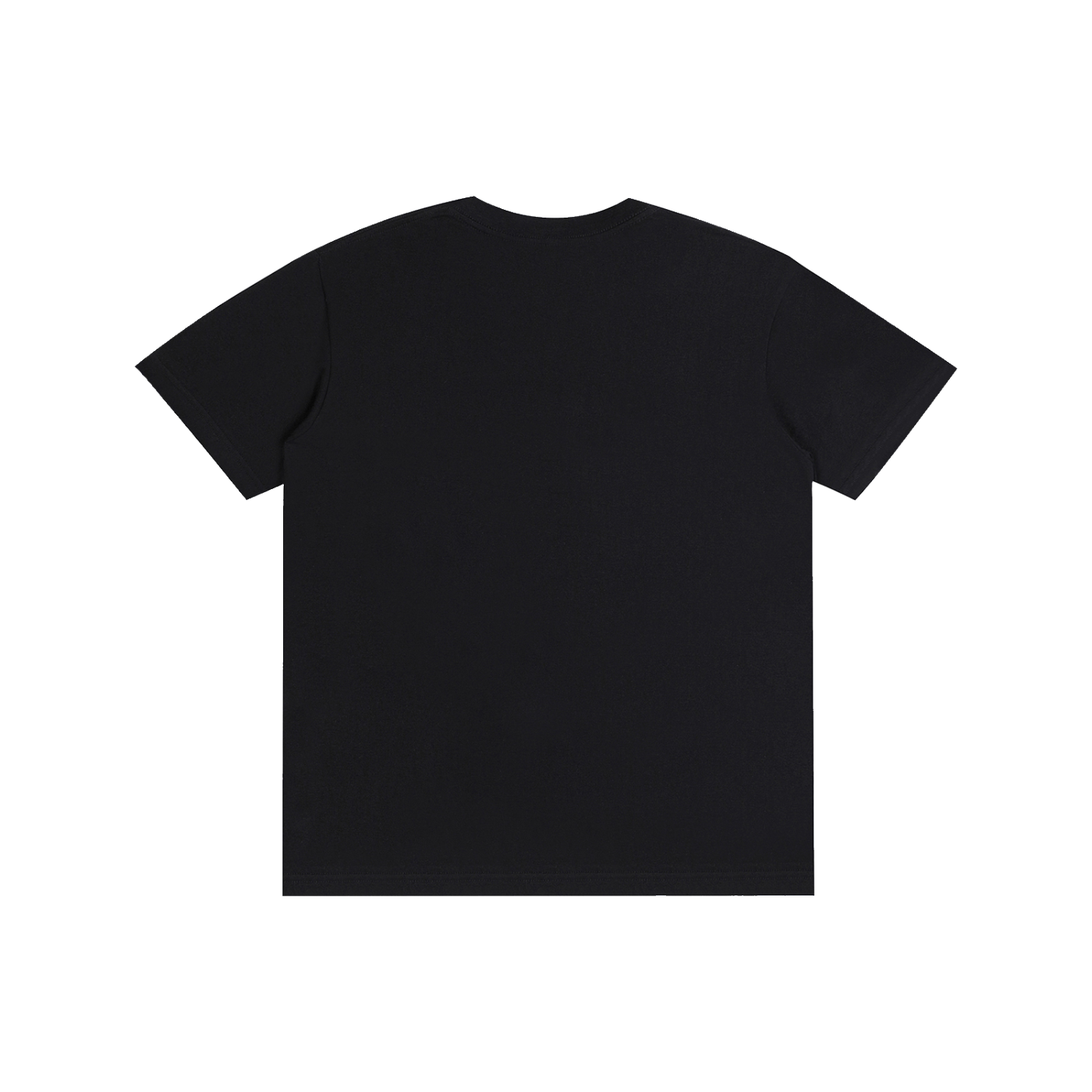Philly RoughRiders Pure Cotton Unisex T-Shirt