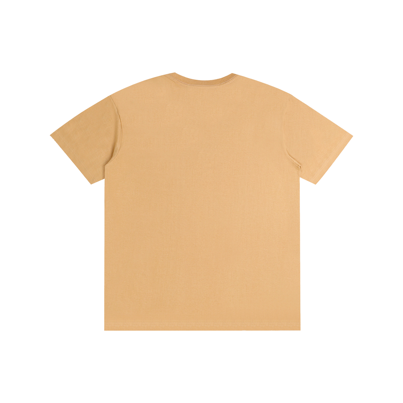 Philly RoughRiders Pure Cotton Unisex T-Shirt