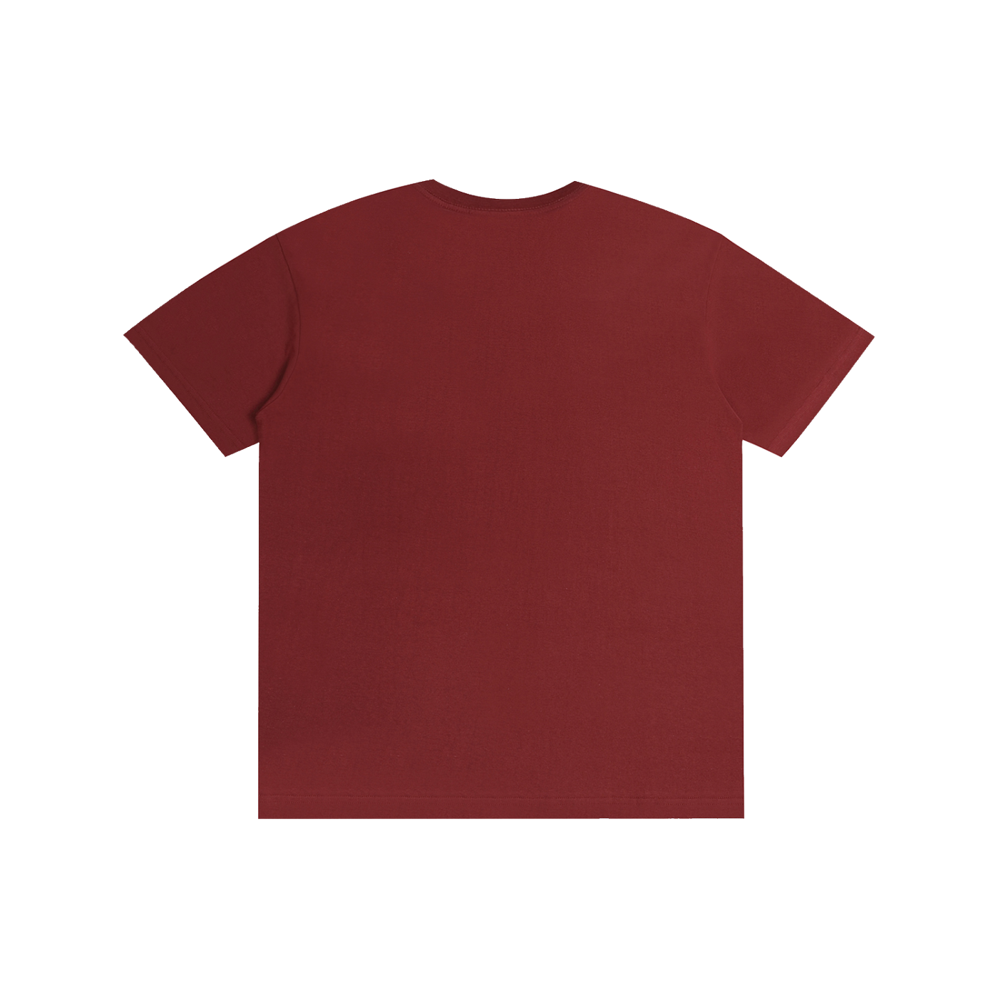 Philly RoughRiders Pure Cotton Unisex T-Shirt