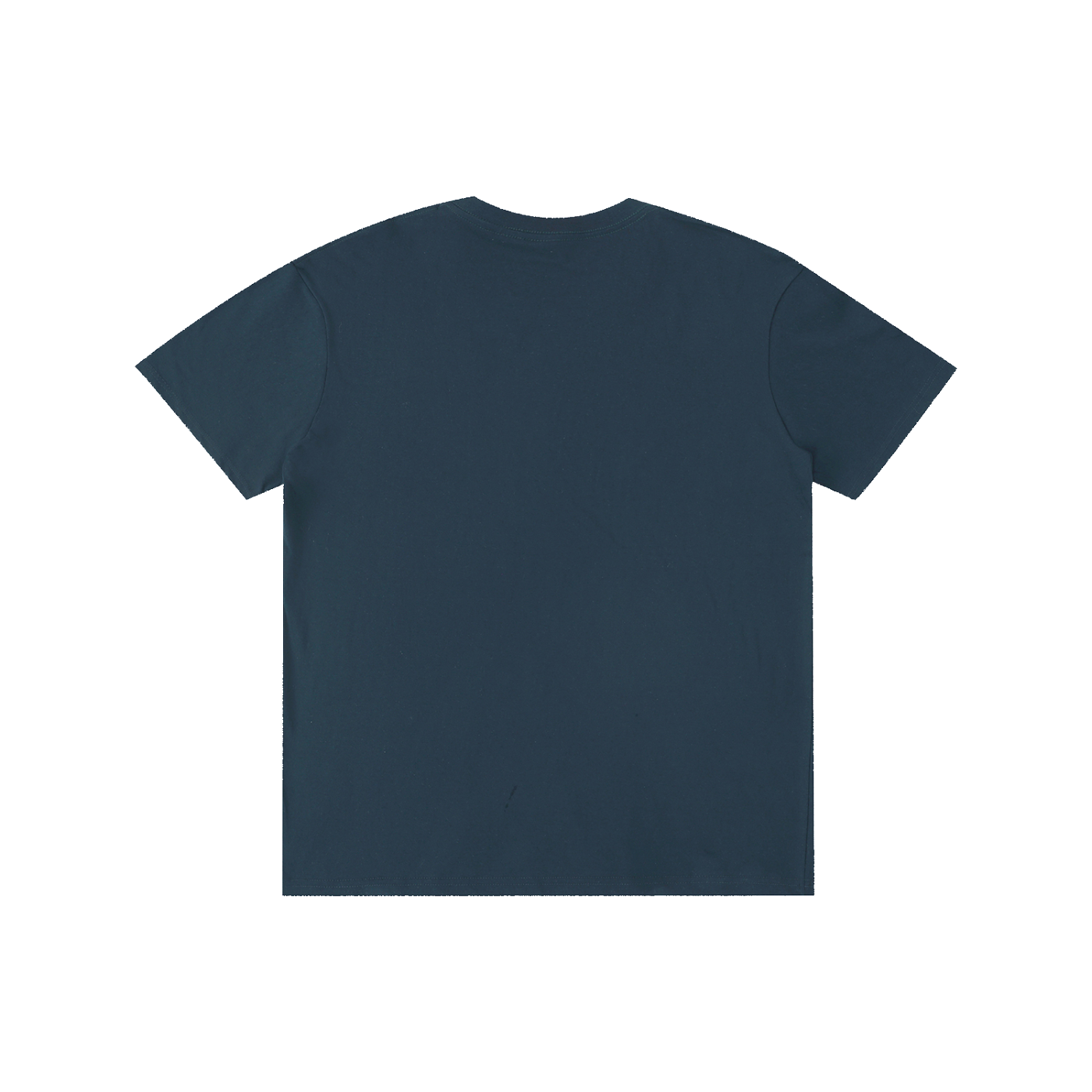 Philly RoughRiders Pure Cotton Unisex T-Shirt